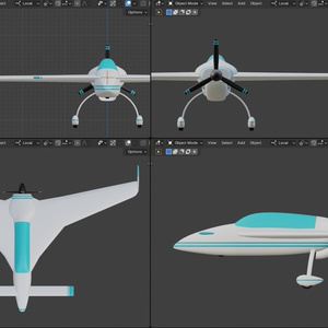 Canard Airplane 缩略图 4