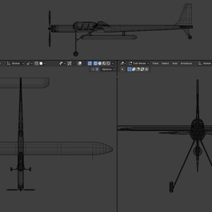 Girls Last Tour Airplane 缩略图 5
