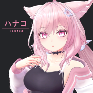 オリジナル3Ｄモデル「ハナコ」 