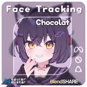 「Chocolat」(Chocolat) Face Tracking Addon