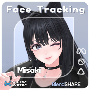 'Misaki' Face Tracking Addon