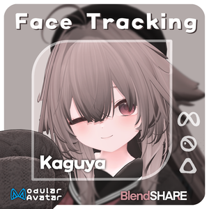 「輝夜」(Kaguya) Face Tracking Addon