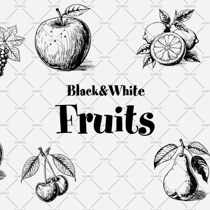 【イラスト素材】ペン画タッチ風果物素材集