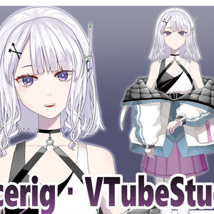 銀髪っ子Live2Dモデル【Facerig/VTS】