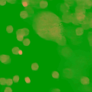Fire Spark Green Screen 9