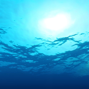 Ocean Surface From Below Loop 4