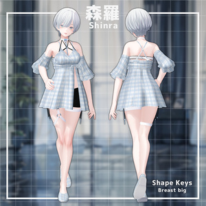 【14人】【PB】 Pure 【VRChat想定】 缩略图 19
