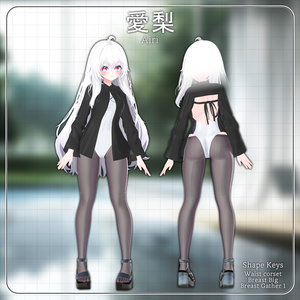 【10人】【PB】 Stocking Mizu 【VRChat想定】 缩略图 8