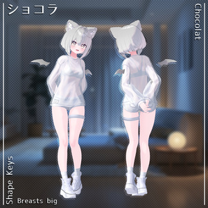【13人】【PB】 Daily Loose 【VRChat想定】 缩略图 21