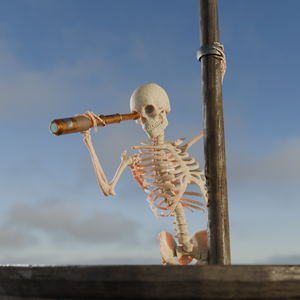 The Pirates Life
