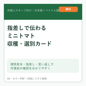 【無料・農場掲示PDF】外国人スタッフ向け ミニトマト収穫・選別カード｜やさしい日本語＋ベトナム語