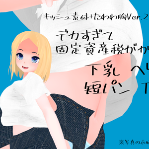 キッシュ素体+たわわ胸用『デカすぎて固定資産税がかかりそうな下乳ヘソ出し短パンTシャツ』