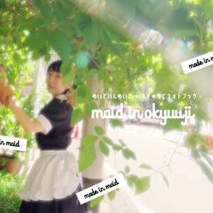 めいどいんめいどお給仕フォトブック「maid in okyuuji vol.1」