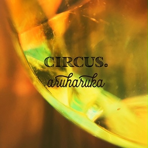 5thアルバム「CIRCUS.」CD＆歌詞ブックレット<匿名配送版>