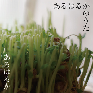 2nd アルバム 「あるはるかのうた」＜クリックポスト版＞