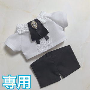 専用 セットアップ