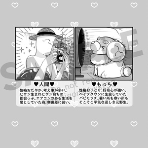 王者の祭典 総集編「黄」 - 清順の本 - BOOTH