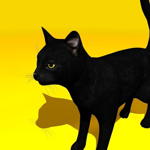 Black Cat Rigged 