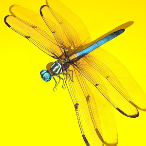 Dragonfly Rigged トンボ