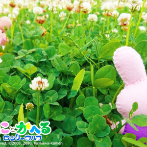 ちーちゃんとこげちゃんぬいぐるみ（イチゴのクッション付きｖ）