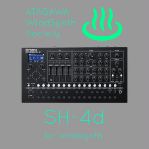 【カスタム音色】Roland SH-4d (30音色)