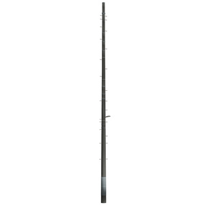 電柱 / Utility pole 缩略图 5