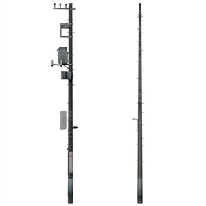電柱 / Utility pole