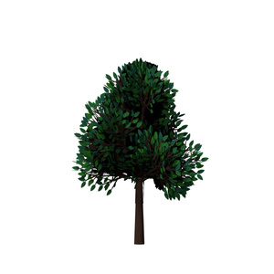 樹木＆低木 / Trees & Shrubs 缩略图 6