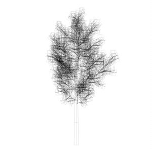 樹木＆低木 / Trees & Shrubs 缩略图 5