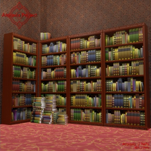 本棚 / Bookshelf