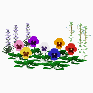 花 / Flowers