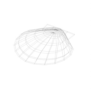 貝殻 / Shells 缩略图 7
