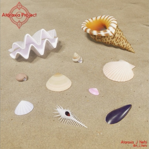 貝殻 / Shells