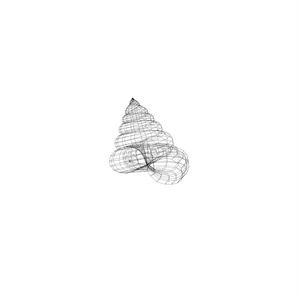 貝殻 / Shells 缩略图 9