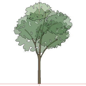 3D モデルデータ　tree01