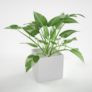  3D モデルデータ　 planter_pothos_Njoy01