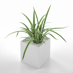 3D モデルデータ　planter_orizururan01