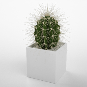 3D モデルデータ　planter_cactus01