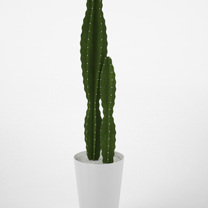 3D モデルデータ　planter_cactus03