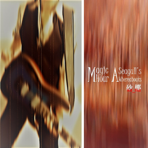 Magic Hour / A Seagull's Whereabouts