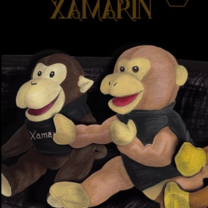 Essential Xamarin -陰/Yin-