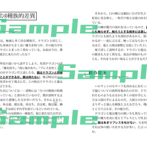 SCREEN7（小説+パンフレット写真集） - インドの大運動会 - BOOTH