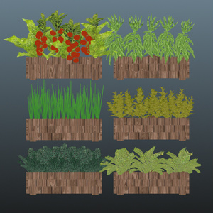 ３ｄモデル　　プランター　６個セット　葉　植物　草　茎　実