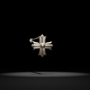 Croossearrings2