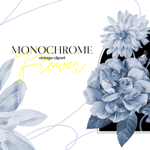 MONOCHROME—Flower—