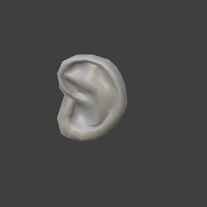 耳【FBX】