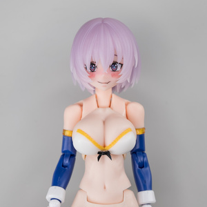 装甲ビキニユニット_type04 - 中央町戦術工芸 - BOOTH
