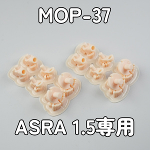 4ページ目 - MUSCUTO SHOP - BOOTH