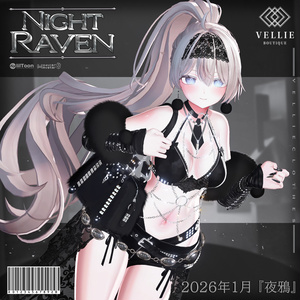 🐦‍⬛【VRC 衣装】Night Raven - Noir 缩略图 9