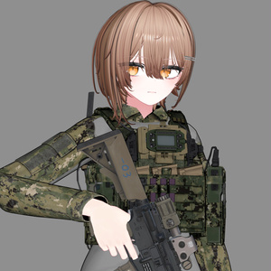 【VRCHAT想定】MMAC CCT ver プレートキャリア 缩略图 9